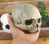 Aquarium Ornament - Emulational Skull Decor Resin decorations...