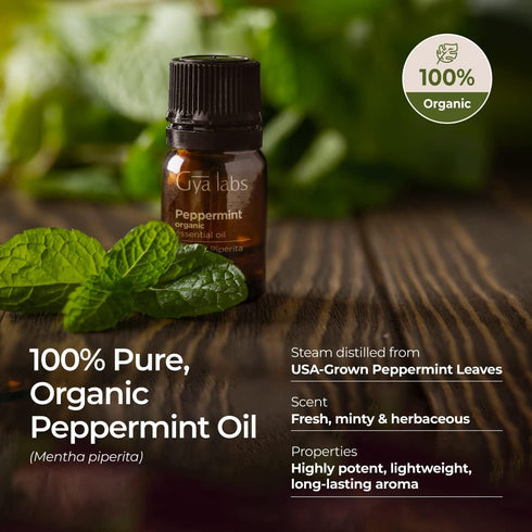 Gya Labs Organic Peppermint Oil for Hair - Premium Grade Natural Organic Peppermint Essential Oil for Diffuser & Skin (0.34 fl oz)...