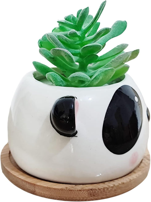 Succulent Pots,Cute Animal Panda Shaped Cartoon Ceramic Succulent Cactus Flower Planters with Bamboo Tray -Plant Not Included (4.13 Inch)...