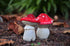 G & F 10043 MiniGardenn Fairy Garden Miniature Premium Collection Life Size Mushroom Statue (Set of 2), Red...