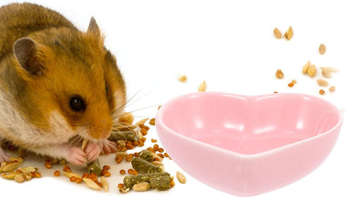ULTECHNOVO Hamster Ceramic Food Bowl, 3pcs Hamster Food Bowl Small Cute Shape Food Dish for Hamster Rat Mice and Other Small Animals...