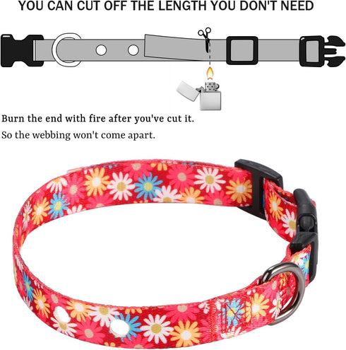 Rhea Rose 3/4 Inch Replacement Collar Strap Shock Collar with 2 Holes, Compatible with Nearly All Brands and Models of Underground Electric Dog Fe...