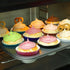 Gifbera Foil Cupcake Liners Standard Size Metallic Muffin Baking Cups 100-Count, Aqua...