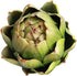 Artificial Artichoke Vegetables Wedding Party Home Decor Set of 6 (Small, Green)...