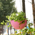 3 Pack Hanging Chain for Garden Plants, Lanterns Bird, Feeders, 9.5 Inch Hanging Chains for Hanging Basket, Wind Chimes and Decorative Ornaments (...