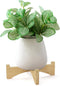 Bamboo Plant Stand Indoor Outdoor, Wooden Flower Pot Stand Fit 6 Inch Pots, Modern Planter Stand, Single Plant Holder Riser Rack Shelf for Patio H...