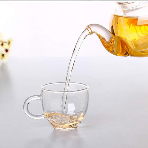 Glass Teapot 20oz with Infuser,Borosilicate Kettle Set Tea Pot for Loose Tea, Flowering Teas,Stovetop and Microwavable Safe(600ml)...