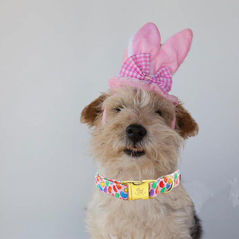 Elegant little tail Easter Dog Collar, Colorful Candy Print Pet Collar Dogs Cute Pink Dog Collar Boy Girl Dog Collars Pet Gift Adjustable Dog Coll...