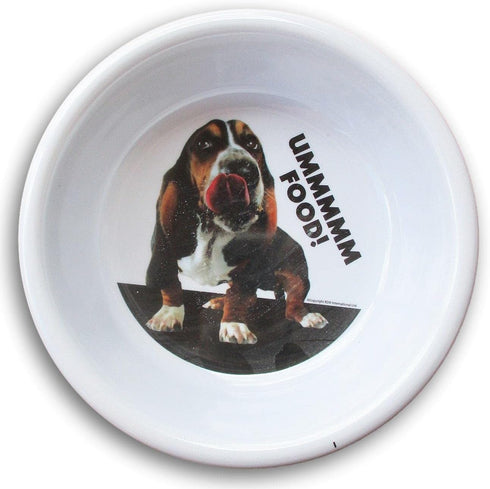 Plastic 2 Cup Capacity Basset Hound and Paw Print Pattern Pet Bowl - 7 x 1.75 Inch...