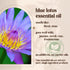 Blue Lotus Essential Oil - 100% Pure & Natural, Organic, Undiluted for Aromatherapy, Hair, Skin, Diffuser (0.33oz - 10ml)...