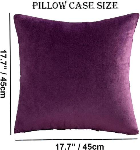 Throw Pillow Cover Velvet Purple - 18 x 18 Inch Pillow Cushion Cover - Set of 2 Square Eggplant Cushion Case, Gift for Sofa, Chair, bedroom and No...