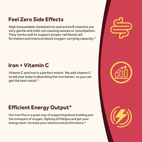 Doctor's Recipes Iron Supplement, with Vitamin C, B6, Folate & B12, Non-Constipating, Stomach Friendly, Gentle Iron Pills for Iron Deficiency, Blo...
