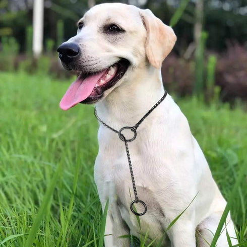 Mogoko Stainless Steel Dog Choke Chain Collar, Puppy Metal Snake Chain Pet Show Slip Collar Choker for Training Walking (Black;16.0"*3.0mm)...