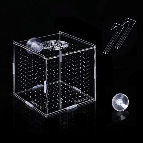 Acrylic fish breeding box, Acrylic Fish Isolation Box, fish separator for aquarium, Hatchery Incubator with Suction Cups for Small Baby Fishes Shr...