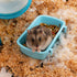 4 Pcs Small Animal Feeder Bowl Basic Dish for Hamster Mice Rat Hedgehog Small Pet...