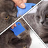 6 Pcs Pet Flea Combs, Dog Cat Combs, Hair Removal Massaging Shell Combs, Pet Combs for Removal Dandruff, Hair Stain(Random Colour)...