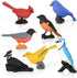 Mini Bird Figurines 7pcs, Birds Cake Cupcake Topper, Miniature Birds Animal Figure Oriole Robin Cardinal Bird Educational Toy, Bird Cake Decoratio...