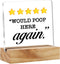 Would Poop Here Again Five Stars Bathroom Desk Decor Acrylic Desk Sign Restroom Toilet Acrylic Plaque Home Bathroom Desk Shelf Decoration 4.7"x4.7...