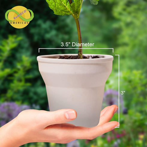 Americas 3.5" Biodegradable Plant Pots (16 Pack): Eco-Friendly Seed Starter Kit with Tapioca Starch for Nutrient-Enriched Soil...