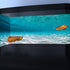 30X18IN Natural Undersea Aquarium Background, Undersea Beach Fish Tank Background, with 8 EVA Double-Sided Tape...