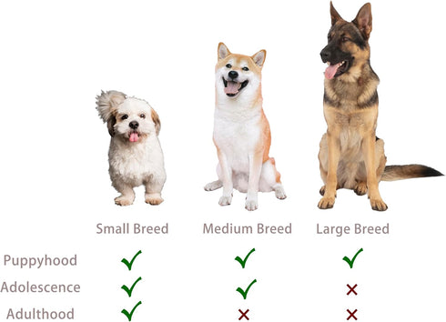 Jalousie Multipack Dog Squeaky Toys Dog Toy Bulk Dog Toy - Dog Toys for Pets Dogs for Small Medium Large Dogs (12 Pack Rope and Plush Animals)...