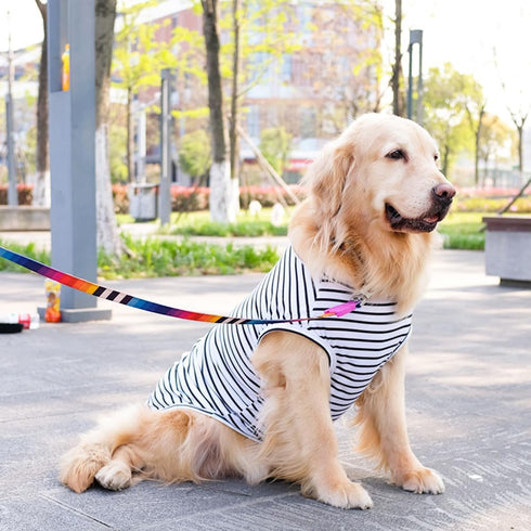 ANIAC Summer Dog Shirt for Medium Dog Girl Boy Striped Dog T-Shirt White Basic Tank Top Sleeveless Doggy Vest Spring Pet Clothes for Dog (White, 5...