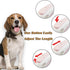 Pink Retractable Dog Leash 10 ft for Small and Medium Dogs and Cats, One Button Brake, Pause, Lock by LFCXHTY...
