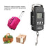 Hanging Scale 500Kg for Farm, Digital Scale for Vertical Hanging Weight, Industrial, Luggage Scale for Hunting, Bow Draw Weight...