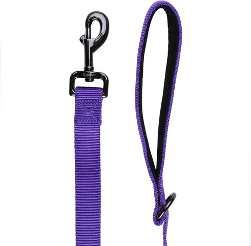 Advanced 4 Feet Dog Leash with Padded Handle-Sturdy Nylon Dogs Leads for Medium Large Dogs Walking,Training,Hiking,Jogging,Camping,etc (Ultra Viol...