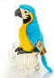 Cute rabbit 12 inch Macaw Parrot Plush Toy Stuffed Animal Toy Plush Animal Doll (blue)...