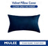 MIULEE Velvet Pillow Cover Soft Luxury Decorative Throw Pillow Cover Single Rectangle Cushion Case for Couch Sofa Bedroom Car Decor,12x20 Inch Dar...