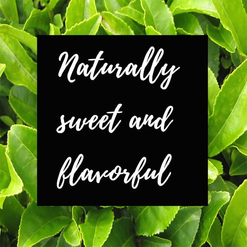 Shangri-La Tea Company Iced Tea Bags, Organic Spring Melon Green Tea, Unsweetened and All Natural, Brews 2 Quarts Per Tea Bag, (6 Count), (5060)...