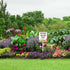 (7x8.8) IN Wildflowers Do Not Mow Metal Yard Sign With Stake For Lawn Garden Farm Decor No Mow Lawn Sign Stand Tin Lawnmowner Sign Wildflowers Gar...