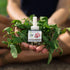 Scent Fill 100% Natural Peppermint Plug in Air Freshener, 4 Scented Oil Refills...