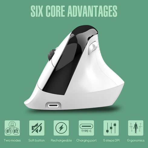 Bluetooth Wireless Ergonomic Mouse USB C Rechargeable, Wireless Vertical Mouse 4000DPI Carpal Tunnel Right Hand for Laptop/Computer/Apple Desktop/...