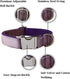 Soft Velvet Dog Collar and Leash Set with Heavy Duty Metal Buckle - Adjustable Durable Pet Collars with Dog Leashes for Small Medium Large Dogs - ...