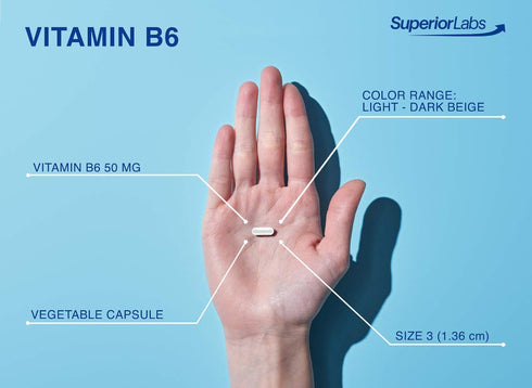 Superior Labs — Best Vitamin B6 Dietary Supplement — 50 mg Dosage,120 Vegetable Capsules —Supports Immune System Health — Healthy Brain Function —...