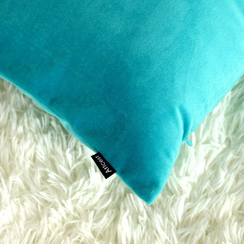 Artcest Set of 2, Cozy Solid Velvet Throw Pillow Case, Decorative Couch Cushion Cover, Soft Sofa Euro Sham with Zipper Hidden, 12"x20" (Light Teal...