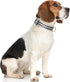 Dog Collar, Adjustable Dog Collars for Medium Dogs, Cute Puppy Collar for Boy and Girl Female Dogs, Soft Heavy Duty Pet Collar with Quick Release ...