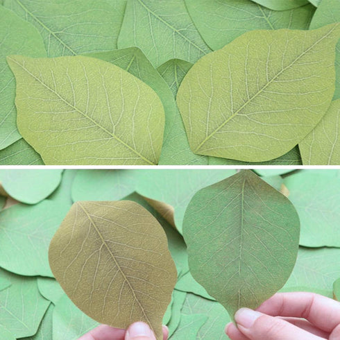 5 Packs Green Leaf-Shaped Sticky Notes Stickers Removable Self-Stick Notes Scratch Pads for Desk Office School Memos...