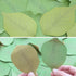 5 Packs Green Leaf-Shaped Sticky Notes Stickers Removable Self-Stick Notes Scratch Pads for Desk Office School Memos...