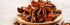 Fruidles Star Anise Whole, Anise Pods, Great for Anise Tea, Kosher Certified 3 Oz...