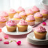 Jumbo Cupcake Liners 300 pcs Natural Muffin Liners No Smell,Food&Grade,Greaseproof Paper Baking Cups, Cupcake Wrappers for Party,Christmas by Gold...
