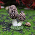 4Pcs Frog and Mushroom Statue Garden Decoration Resin Mini Landscape Decoration for Indoor and Outdoor Decoration Couple Frog Statue...