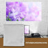 60-120 inch Movie Projection Screen, Projector Screen, Portable White Projector Curtain, Projection Screen 16:9, Portable and Foldable Without Tra...