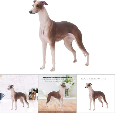 Greyhound Model, Plastic Material Simulation Greyhound , Teaching Tool Smoothing for...
