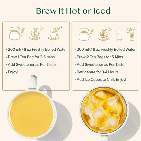 VAHDAM, Pure Mint Herbal Tea (100 Pyramid Tea Bags) Caffeine Free, Non GMO, Gluten Free | Blend of Spearmint & Peppermint - Sweet & Minty | Reseal...