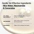 ANUA RICE 70 GLOW MILKY TONER, for Glass Skin and Brightening, Rice Water, Niacinamide, Ceramides, Panthenol, Fragrance-free, Non comodogenic, Fun...