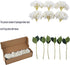 Kimura's Cabin 6pcs Fake White Flowers Artificial Silk Hydrangea Flowers Bouquets Faux Hydrangea Stems for Home Table Centerpieces Wedding Party D...