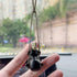 Anime Car Accessories of No Face Man Car Pendant Hanging Swing, for Car Rear View Mirror Accessories, Home Gardening Hanging Micro Landscape Offic...